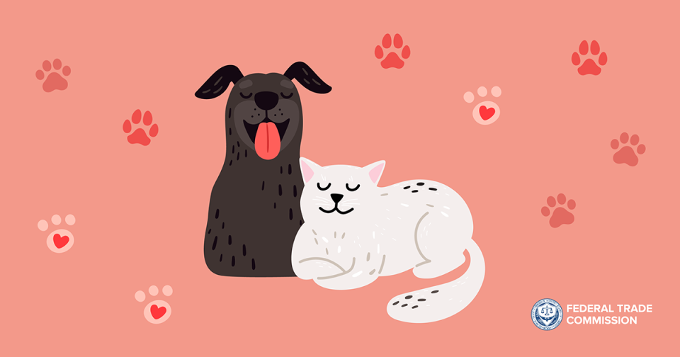 PNG of a dog and cat